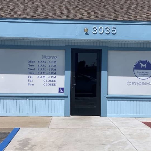 Window & Wall Graphics